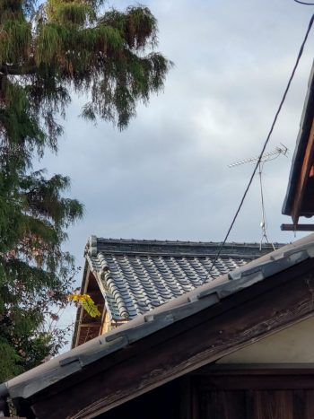 滋賀県守山市で台風被害の屋根修理